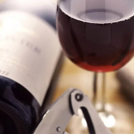 Hotel Ibis Strasbourg Nord 3*