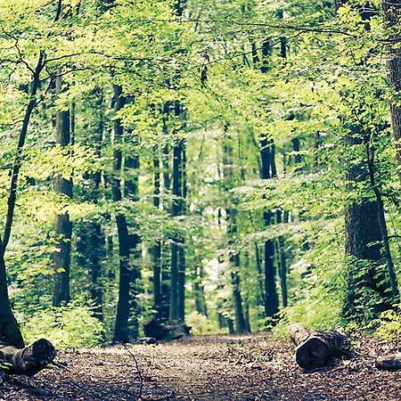 Ibis Strasbourg Nord Hotel Hagenau